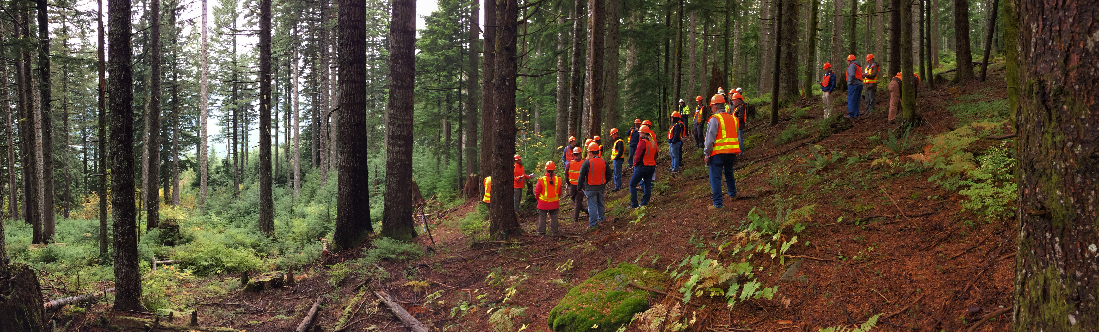 A group of Foresters in a stand of coastal Douglas-fir in Washington.